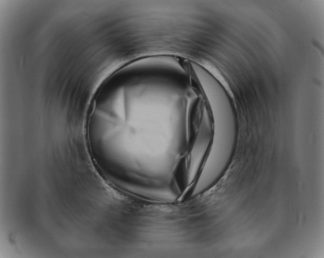 X0000091211197200708301421