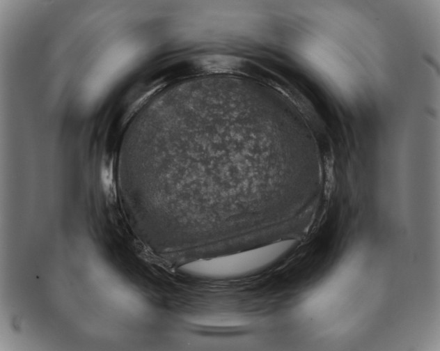 X0000091211198200708301421