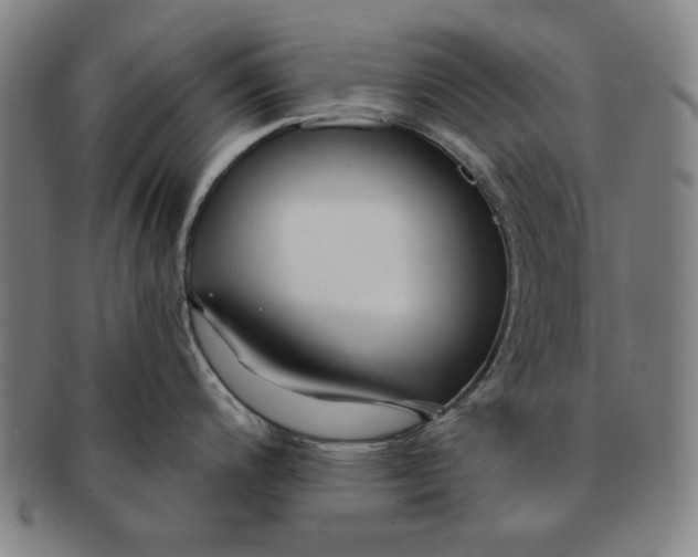 X0000091211200200708301421