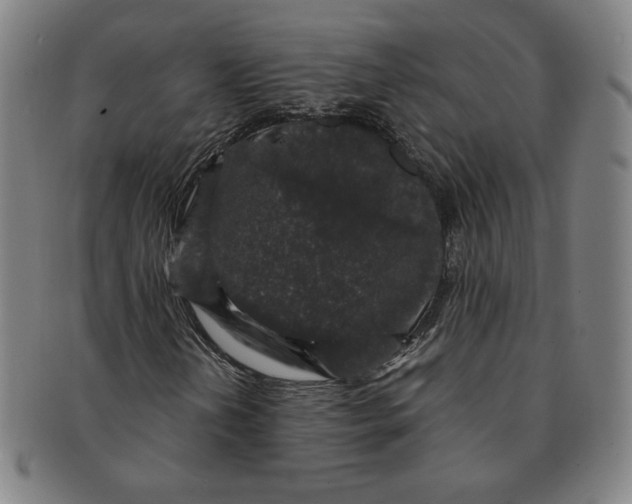 X0000091211202200708301420