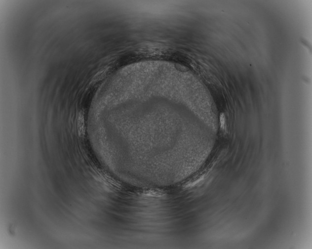 X0000091211203200708301420