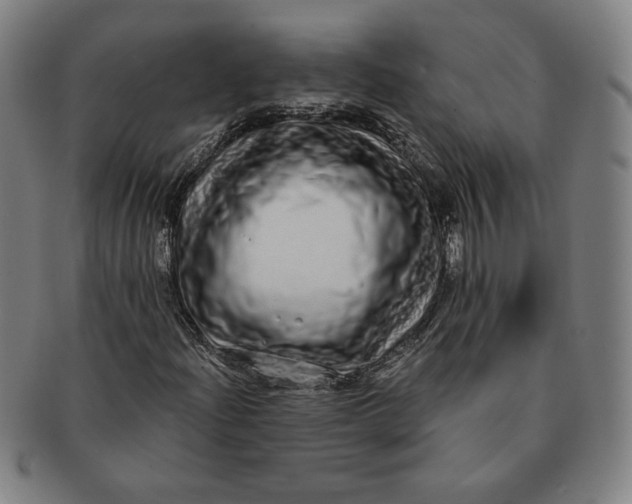 X0000091211204200708301420