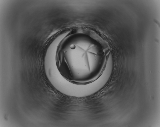 X0000091211206200708301420