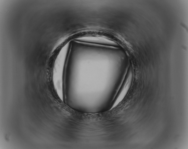 X0000091211208200708301420