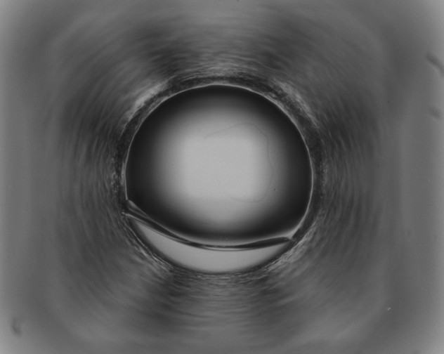 X0000091211210200708301420