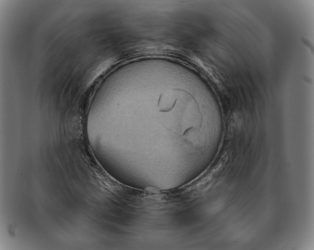 X0000091211211200708301420