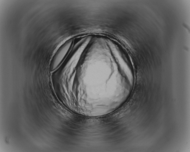 X0000091211212200708301420