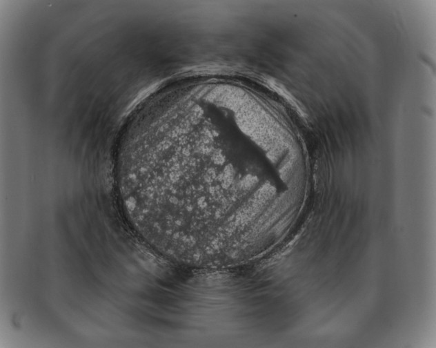 X0000091211213200708301420