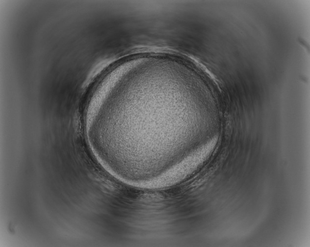 X0000091211215200708301420