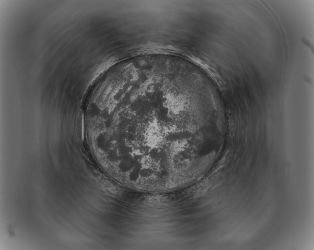 X0000091211219200708301420