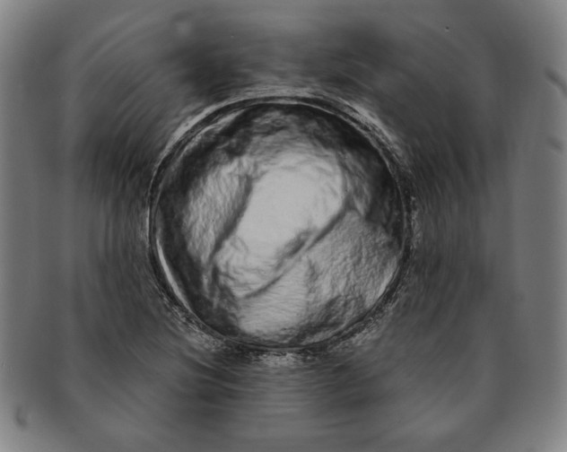 X0000091211220200708301420