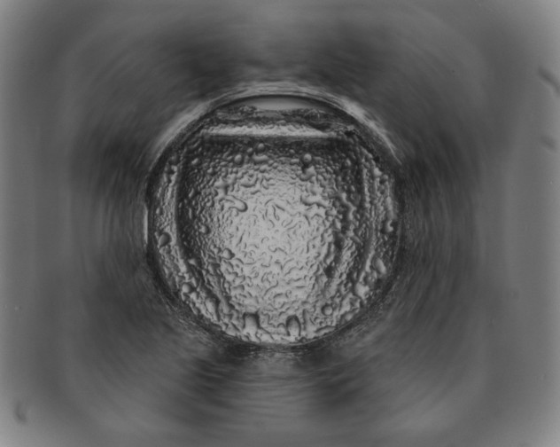 X0000091211221200708301420