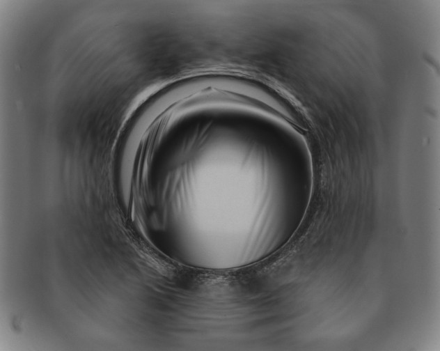 X0000091211222200708301420