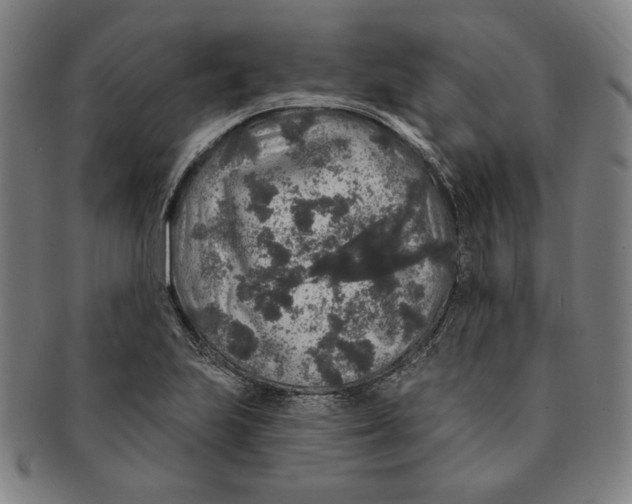 X0000091211223200708301420