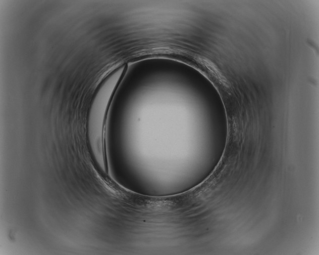 X0000091211225200708301421