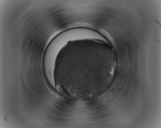 X0000091211226200708301421