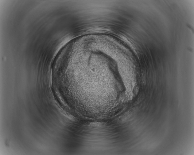 X0000091211227200708301421