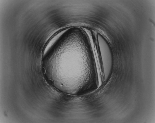 X0000091211228200708301421