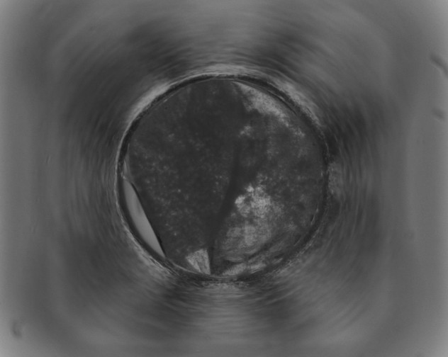 X0000091211229200708301421