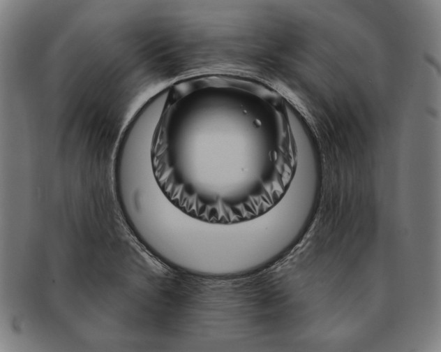 X0000091211230200708301421