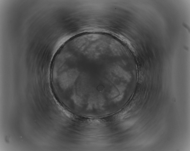 X0000091211231200708301421