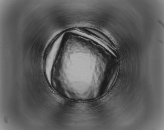 X0000091211232200708301421