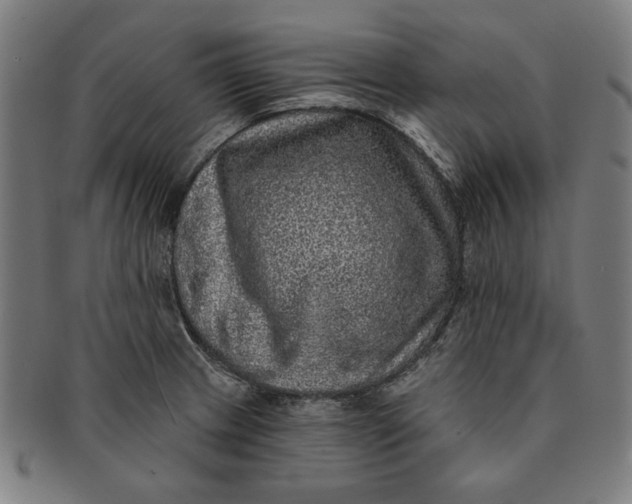 X0000091211233200708301421