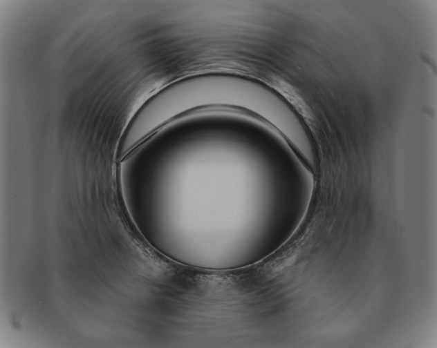 X0000091211234200708301421