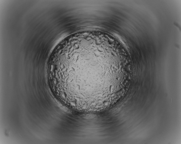 X0000091211235200708301421