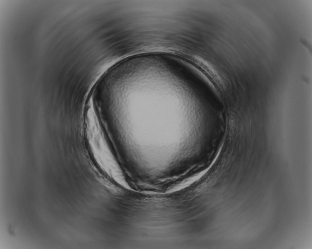 X0000091211236200708301421