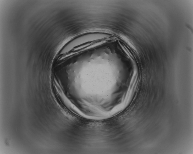 X0000091211237200708301421