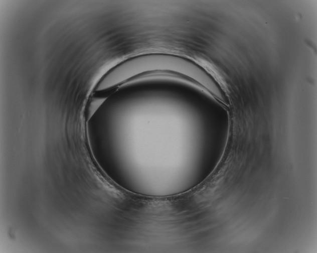 X0000091211238200708301421