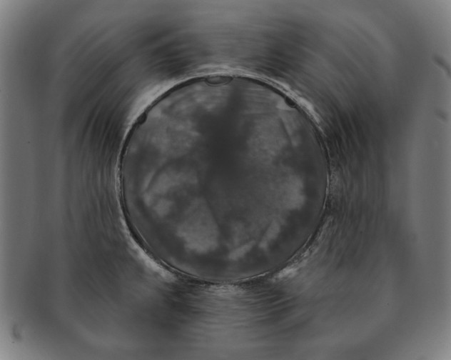 X0000091211239200708301421