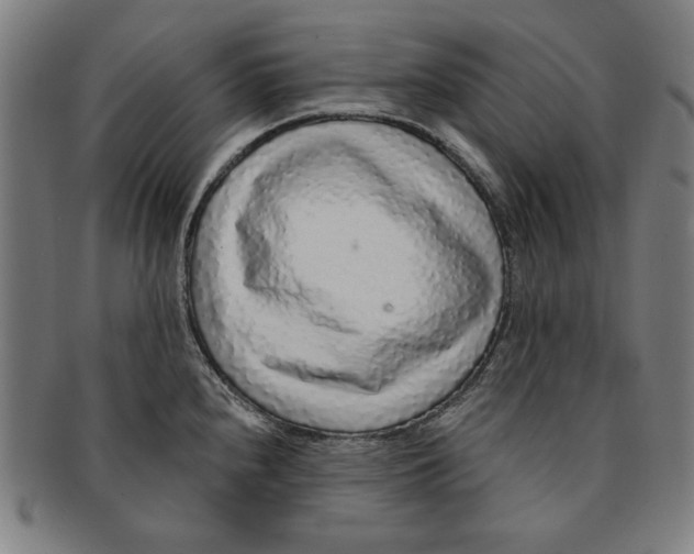 X0000091211240200708301421