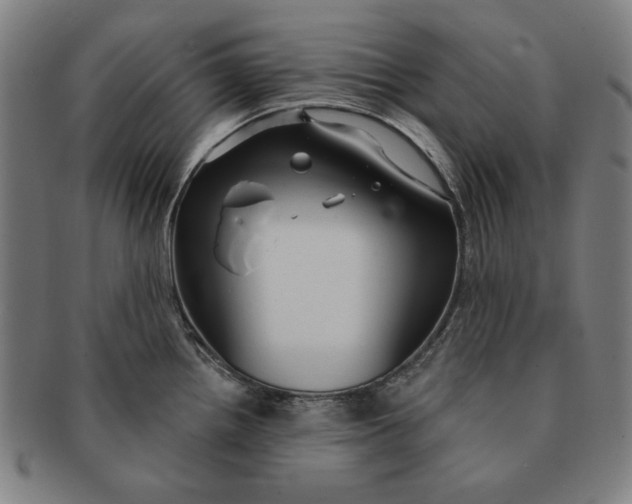 X0000091211242200708301421