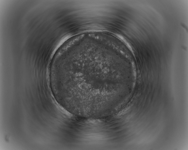 X0000091211243200708301421