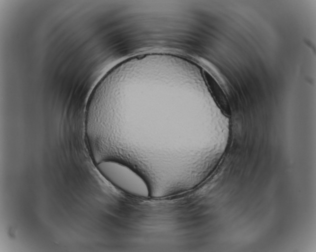 X0000091211244200708301421