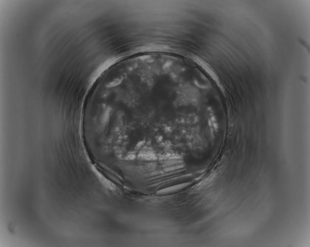 X0000091211245200708301421