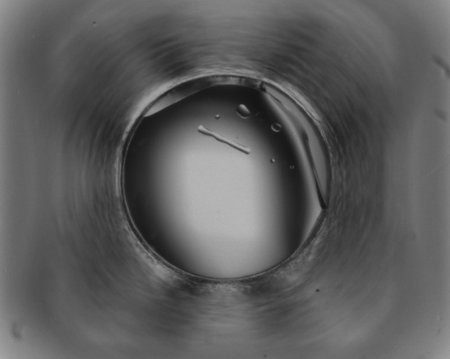 X0000091211246200708301421