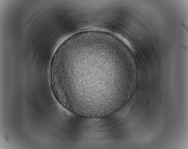 X0000091211247200708301421