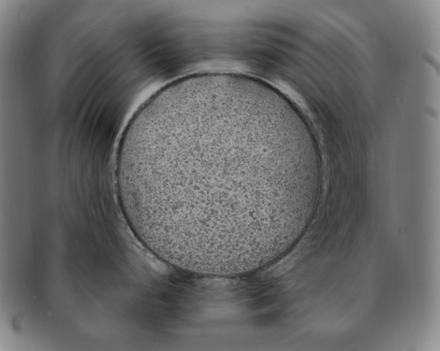 X0000091211248200708301421