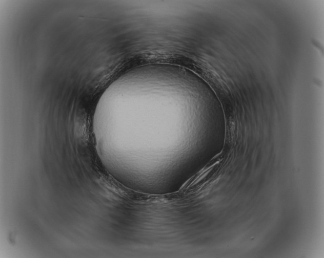 X0000091211250200708301420