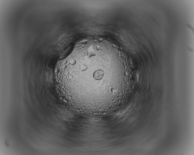 X0000091211251200708301420