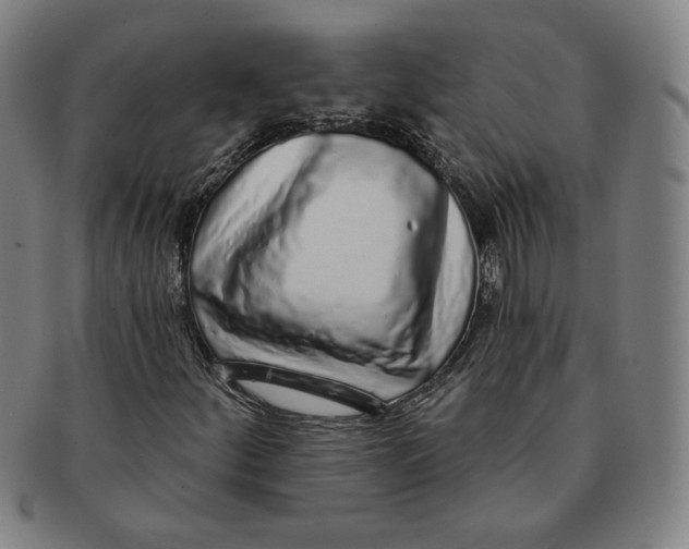 X0000091211252200708301420