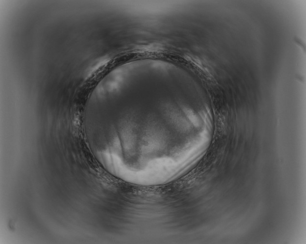 X0000091211254200708301420