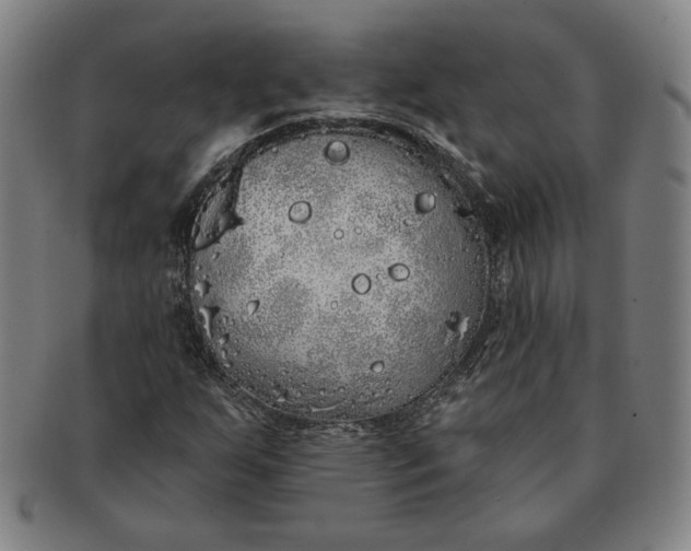 X0000091211255200708301420