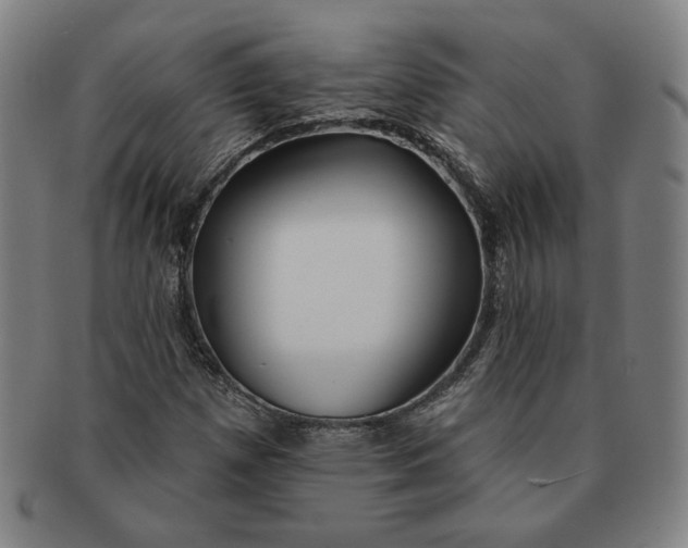 X0000091211257200708301420