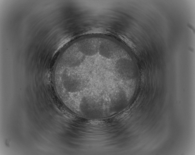 X0000091211258200708301420