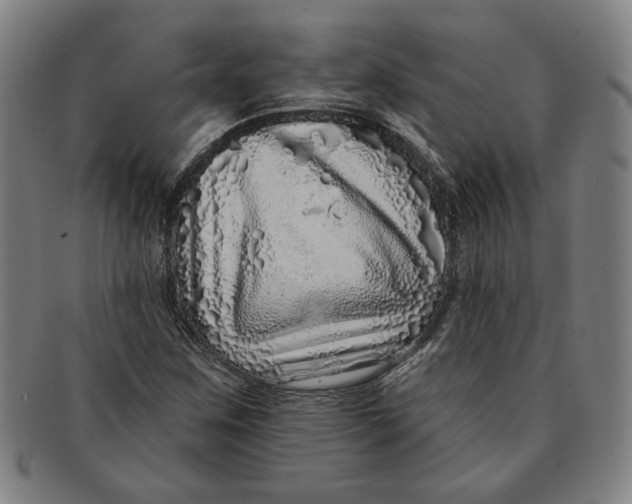 X0000091211259200708301420