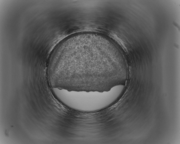 X0000091211260200708301420